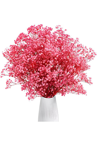 Dekora Çiçek Dried Shocked Pink Cipso Bridal Bouquet Arrangement Flower Natur...