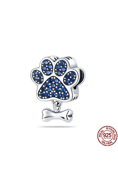 Choice34 PAC230 925 Sterling Silver Chameleon Luminous Firefly Butterfly Char...