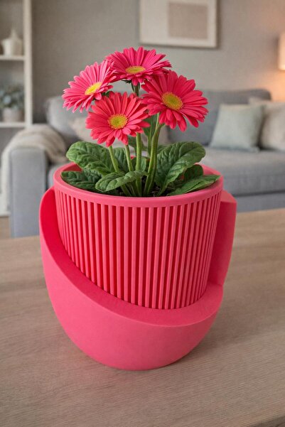 omeyva Dekoratif Japandi Akıllı Çiftli Saksı Çiçek Kaktüs Bitki Yetiştirme Sa...