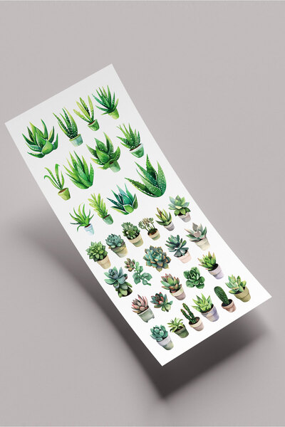 Sukulent Sticker Seti