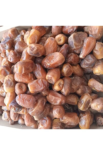 KAYISICENTER Toptan Medine Sukkari Taze Hurma 5 Kg