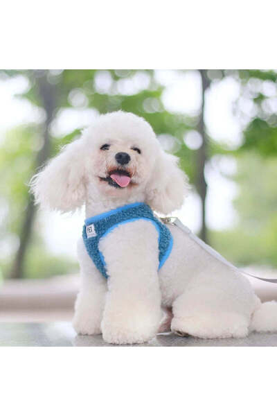 Petora Ham reglabil cu lesă pentru câini, albastru, HC1023 - M