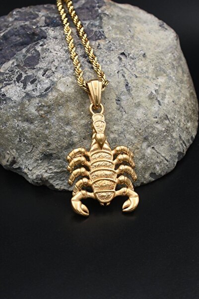 Prestige Akrep Figürlü Kolye Paslanmaz Çelik Zincir Altın Kaplama 3Mm 902586