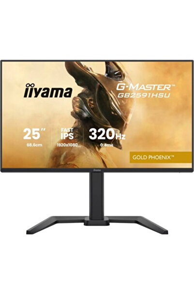 IIYAMA Monitor de gaming de 24,5"