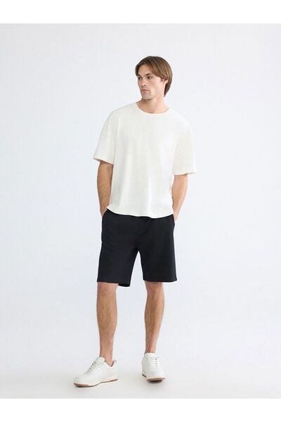 LC Waikiki Standard Fit Men's Shorts