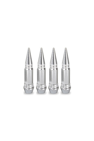 Choice9 أغطية صمامات إطارات السيارات والدراجات النارية من QMM-CK-Silver، 4 قط...