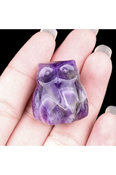 Choice8 Amethysts 1in Amethyst Tiger Eye Stone Opal Rose Quartz Owl Mini Orna...
