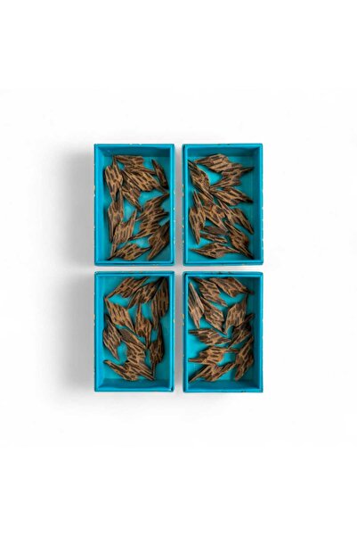 SERAT ALTEEB Tiger Cambodian Oud Set (4 ounces)