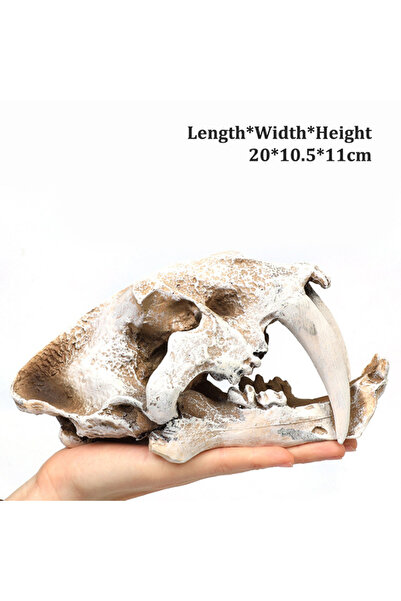 Choice3 Choice 5 Simulation Resin Animal Skull Ornament DIY Aquarium Fish Tan...