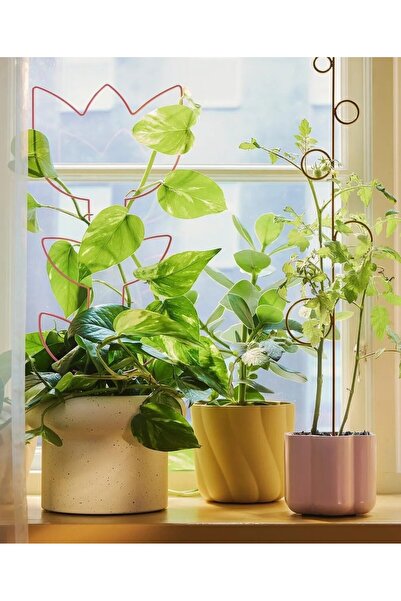 IKEA QUİCK 2 Adet Bitki Desteği Yükseklik: 64 Cm ve 55 Cm Saksı İçi Bitki Des...