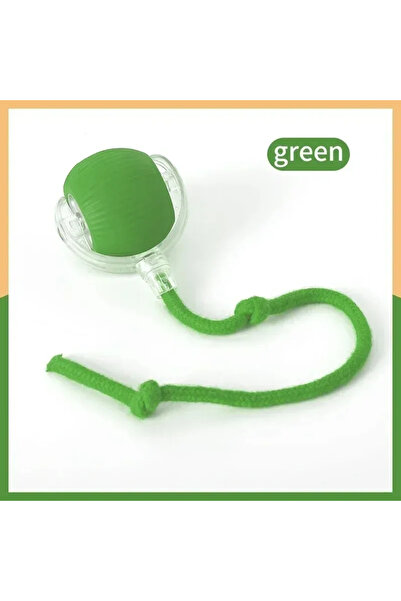 Choice green New Cat Interactive Ball Toy Automatic Rolling Ball Faux Tail Re...