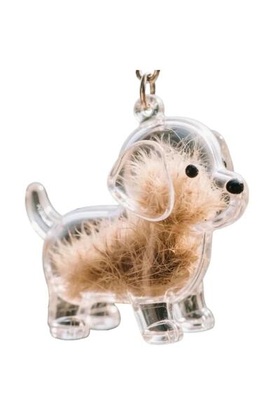 Choice12 سلسلة مفاتيح شفافة مصنوعة من شعر الحيوانات الأليفة، حامل تذكاري لطيف...