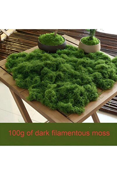 Choice4 طحلب أخضر داكن 100 جرام 30/50/100 جرام نباتات خضراء صناعية عشب الطحلب...