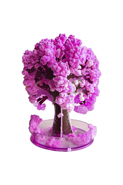 Choice3 D Magic Growing Christmas Tree Crystal Paper Christmas Decoration New...