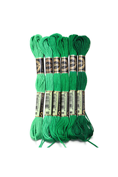 Choice خيط خياطة بوليستر ملون للتطريز، أخضر 01، 6 قطع/ حقيبة ، مناسب للحياكة ...