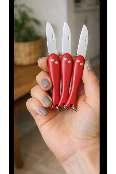 DENPRESTİJ Balık Çakı 3'lü Kırmızı Katlanabilir Anahtarlık Çakı Bıçak