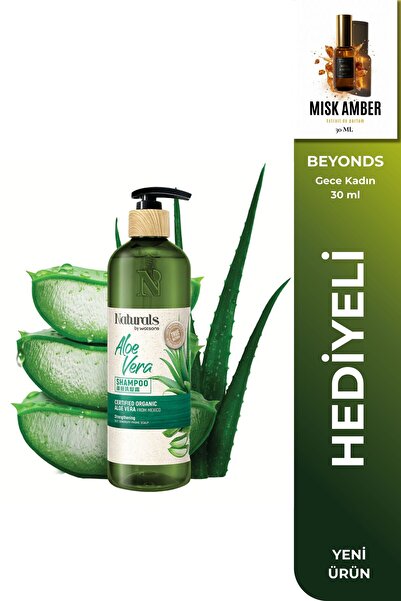 Naturals By Watsons Aloe Vera Extract Moisturizing Shampoo 490 ml Sensitive S...
