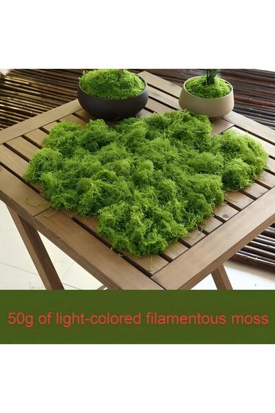 Choice3 طحلب أخضر فاتح 50 جرام 30/50/100 جرام نباتات خضراء صناعية عشب الطحلب ...