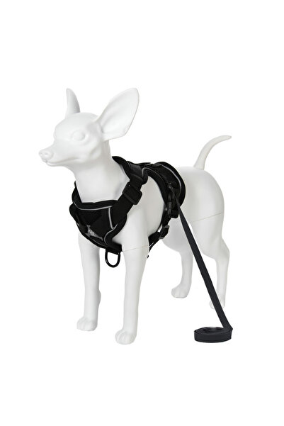 Choice1 M Black Adjustable Dog Harness Leash Set for Small Medium Dogs Cats R...