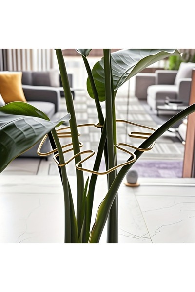 Choice1 Gold Plant Stem Support Durable Mtera Stabilizer Metal Climbing Plant...