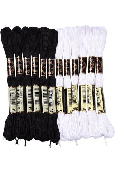 Choice AECH06-14855 12 Skeins 105 Yards Black White Embroidery Floss Thread B...
