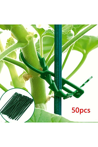 Choice 50 قطعة من أربطة كابلات النباتات البلاستيكية القابلة للتعديل، أربطة كا...