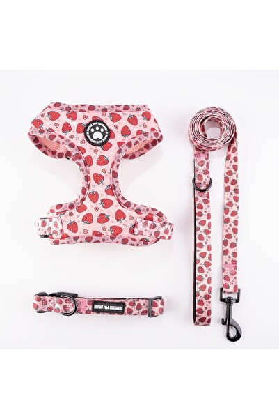 Choice14 طقم سترة للكلاب من قماش محبوك قابل للتعديل، بلون أحمر قابل للتنفس ، ...