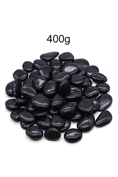 Choice حصى أسود مصقول عالي الجودة، 2-3 سم، 400 غرام، 200-400 غرام، أحجار زينة...