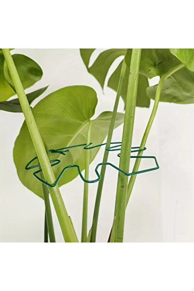 Choice حامل نباتات معلق كبير أخضر اللون، مزود بخطافات حديدية، مناسب لتزيين أص...