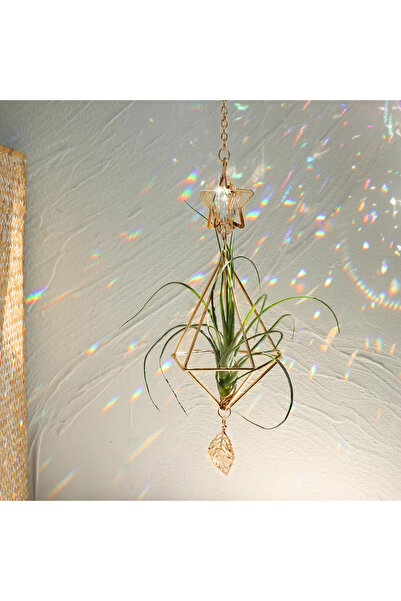 choice2 حامل نباتات هوائية معلق ذهبي اللون MS190-1، مناسب للحدائق، من نوع تيل...