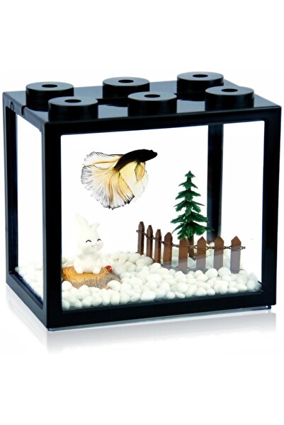 Choice1 black Mini Fish Bowls Thai Betta Tank Small Ornamental Fish Live Pet ...