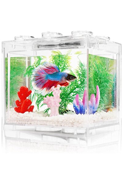 Choice transparent Mini Fish Bowls Thai Betta Tank Small Ornamental Fish Live...