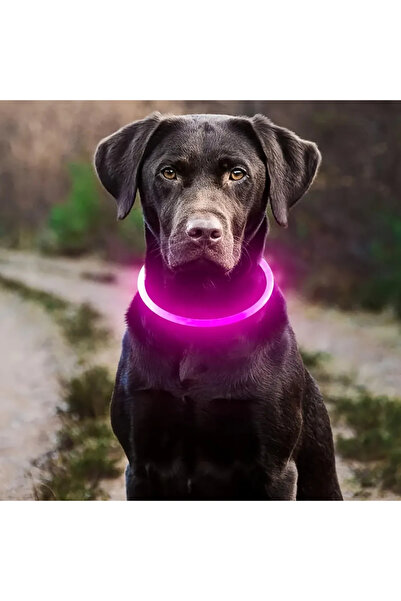 Choice1 35cm Pink Fiber Optic LED Light Dog Collar USB Charging Luminous Anti...