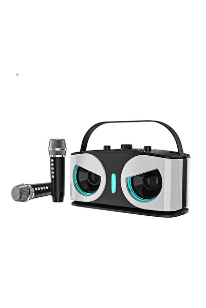 Choice مكبر صوت لاسلكي بلوتوث قوي بقوة 20 واط من سيلفر أولز مع ميكروفونين، صو...