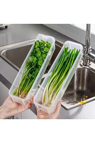 Choice1 علبتان شفافتان لتخزين الكزبرة والبصل الأخضر - حاوية محكمة الإغلاق للث...