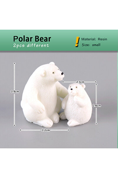 Choice قطعتان من الدببة القطبية، دب قطبي أبيض، فقمة، وفظ، مجسمات مصغرة من الر...