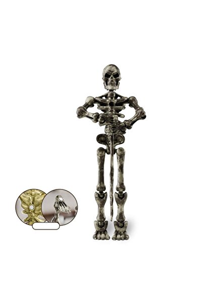 Choice3 Brown Mini Medieval Skeleton Figurines Small Halloween Skeleton For H...