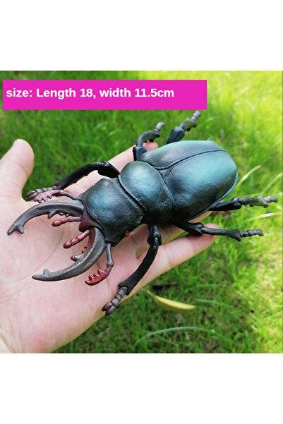 Choice1 لعبة محاكاة حشرة المجرفة، حيوان صغير، نملة، صرصور، عنكبوت، عقرب، دعسوقة