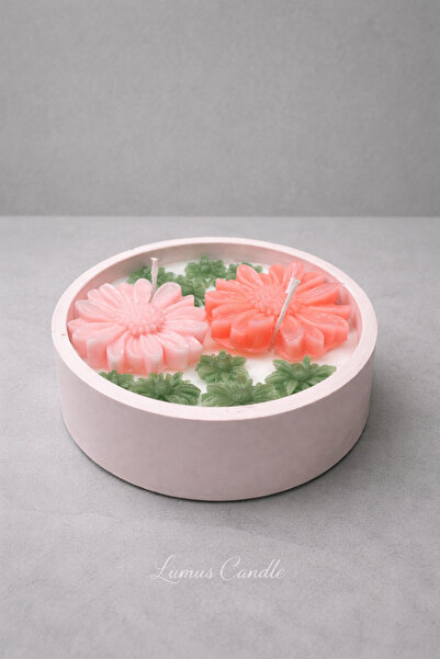 lumus candle Amber Kokulu Soya Mum – Beton Saksı İçinde Aromaterapi Dekoratif...