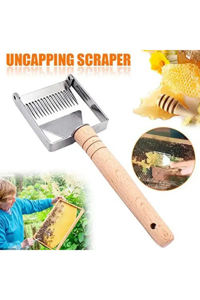 Choice مكشطة قرص العسل، أدوات مكشطة العسل، مقبض خشبي، معدات أدوات تربية النحل...