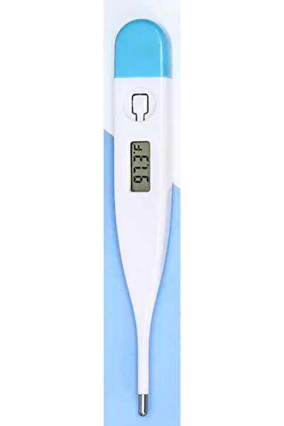 Choice1 W441-blue Portable Electronic Thermometer (1PC) - Precise Home Thermo...