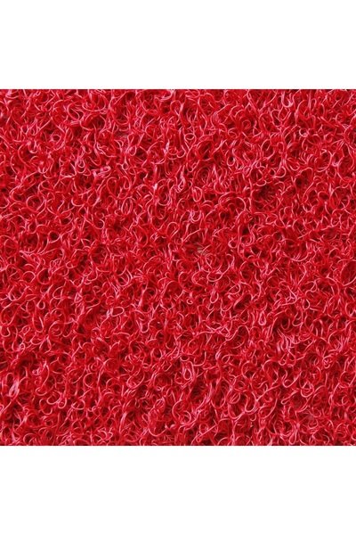 efestrend Kıvırcık Paspas | Kaymaz Tabanlı, Yıkanabilir, Dayanıklı Zemin Pasp...