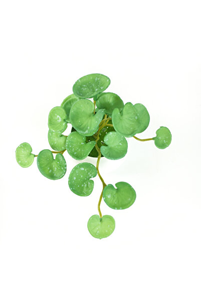 choice2 باقة نباتات اصطناعية صغيرة بطول 15 سم، مصنوعة من عشب العملة، مع غراء ...