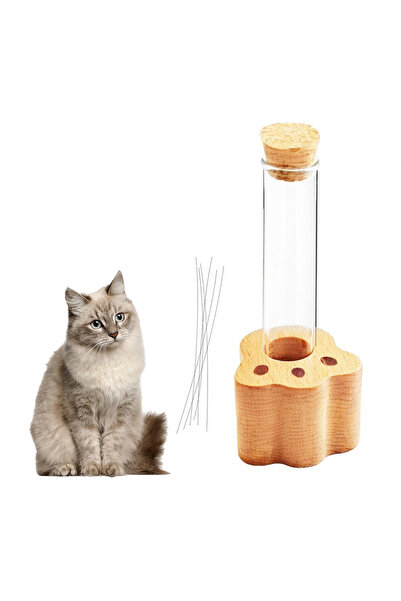 Choice مرطبان زجاجي صغير A1 لعرض شوارب القطط؛ هدية تذكارية راقية لمرطبان شوار...