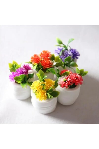 Choice 5 قطع متنوعة، 5 قطع من نباتات الزينة الخضراء الصغيرة المزروعة في أصص، ...