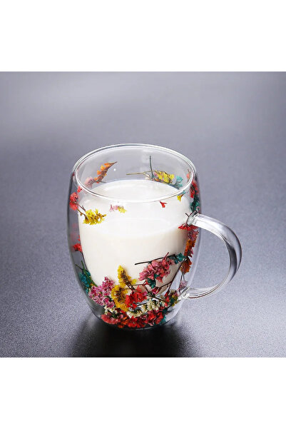 Choice1 301-400ml C Fillings Dry Flowers Double Wall Glass Cup With Handle He...