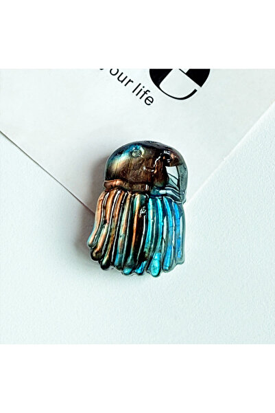 Choice قطعة واحدة من قنديل البحر لابرا، قطعة واحدة من نحت قنديل البحر من حجر ...