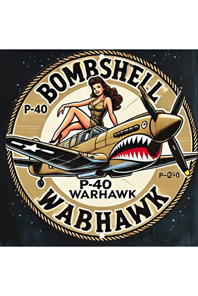 Choice لوحة معدنية صفراء فاتحة اللون، ثنائية الأبعاد، بتصميم طيار قاذفة قنابل...