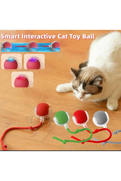 Choice كرة دوارة رمادية أوتوماتيكية للقطط الصغيرة، قابلة لإعادة الشحن، لعبة ت...