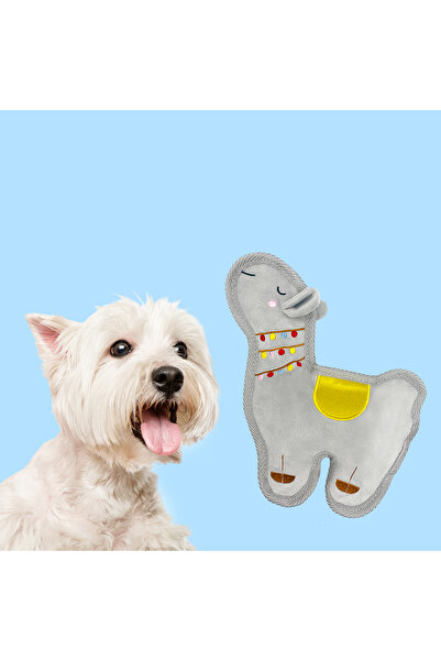 Choice ألعاب حيوانات أليفة على شكل ألبكة، دمية ألبكة كرتونية وبري ، رفيق شتوي...